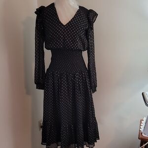 Aqua Gold and Black Fit and Flare Dress with Bishop Sleeves